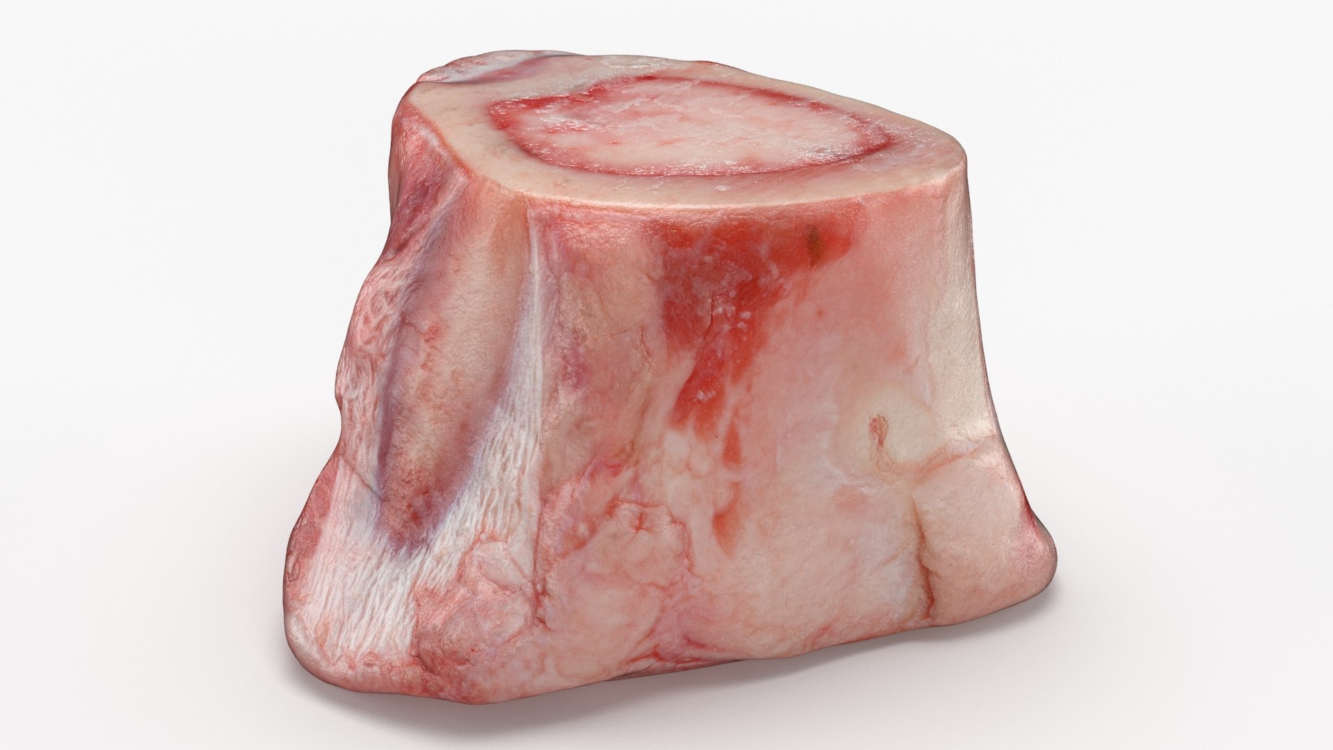 Marrow Bone 02 3D model https://p.turbosquid.com/ts-thumb/SX/nEwusc/52/marrowbone02_b0024/jpg/1629652754/1920x1080/fit_q87/d456dc5130640ad30293601729828d3ee41cd0d4/marrowbone02_b0024.jpg