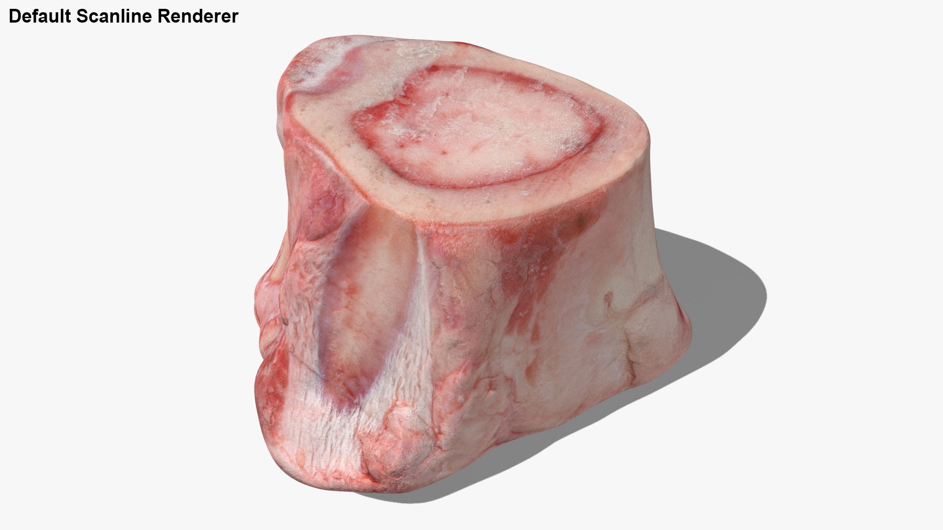 Marrow Bone 02 3D model https://p.turbosquid.com/ts-thumb/SX/nEwusc/Ih/marrowbone02_f0003/jpg/1629652683/1920x1080/fit_q87/5c6b9d336d37c530f32bb737a04e5c1cd8adb936/marrowbone02_f0003.jpg
