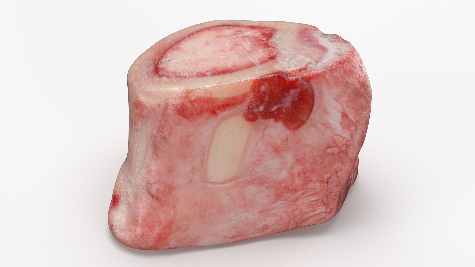 Marrow Bone 02 3D model https://p.turbosquid.com/ts-thumb/SX/nEwusc/U0/marrowbone02_b0027/jpg/1629652754/1920x1080/fit_q87/06788026bddc5748d142f2caa6a4ef8cd2363034/marrowbone02_b0027.jpg
