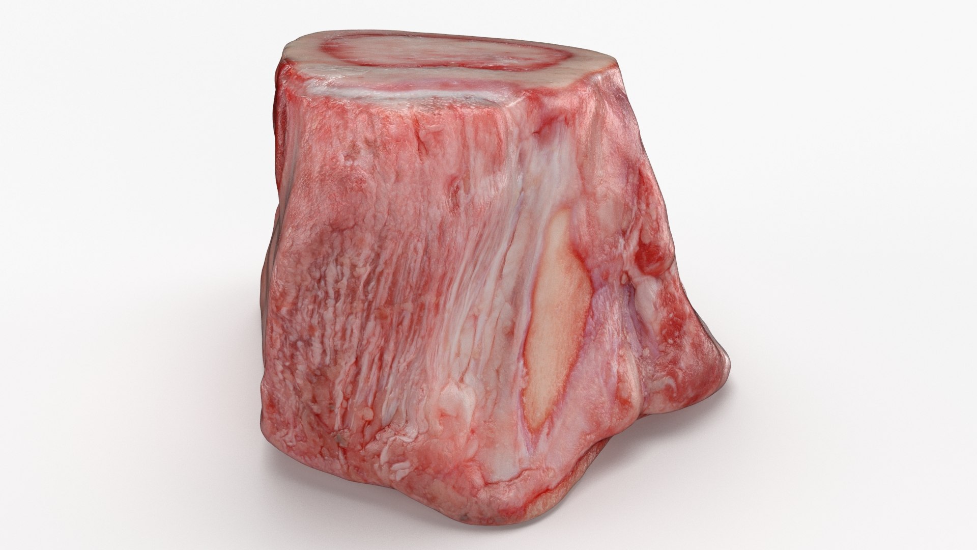 Marrow Bone 02 3D model https://p.turbosquid.com/ts-thumb/SX/nEwusc/UP/marrowbone02_b0030/jpg/1629652747/1920x1080/fit_q87/0206896be1a2e5bbf68ccfa48b6e33f207501980/marrowbone02_b0030.jpg