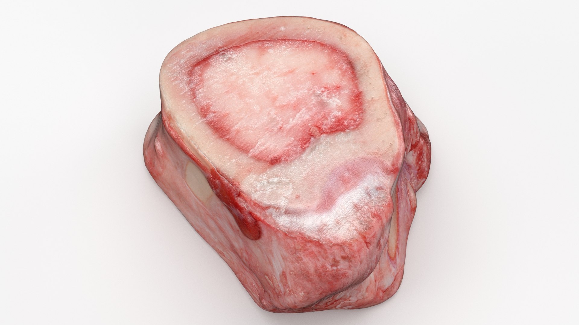 Marrow Bone 02 3D model https://p.turbosquid.com/ts-thumb/SX/nEwusc/eR/marrowbone02_b0012/jpg/1629652751/1920x1080/fit_q87/306bcc703a70fcb62b83451febc13bdc39595984/marrowbone02_b0012.jpg
