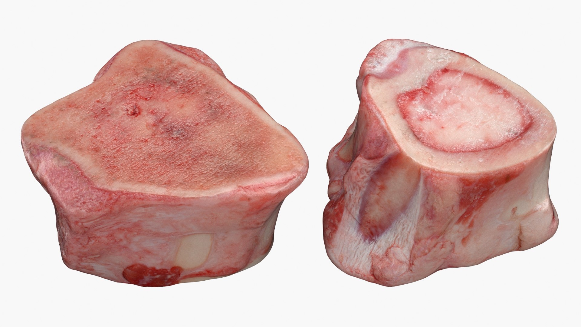 Marrow Bone 02 3D model https://p.turbosquid.com/ts-thumb/SX/nEwusc/lC/marrowbone02_a0002/jpg/1629652746/1920x1080/fit_q87/c41169d81bdc0b559b24ce747c77a4cfb9794cd1/marrowbone02_a0002.jpg