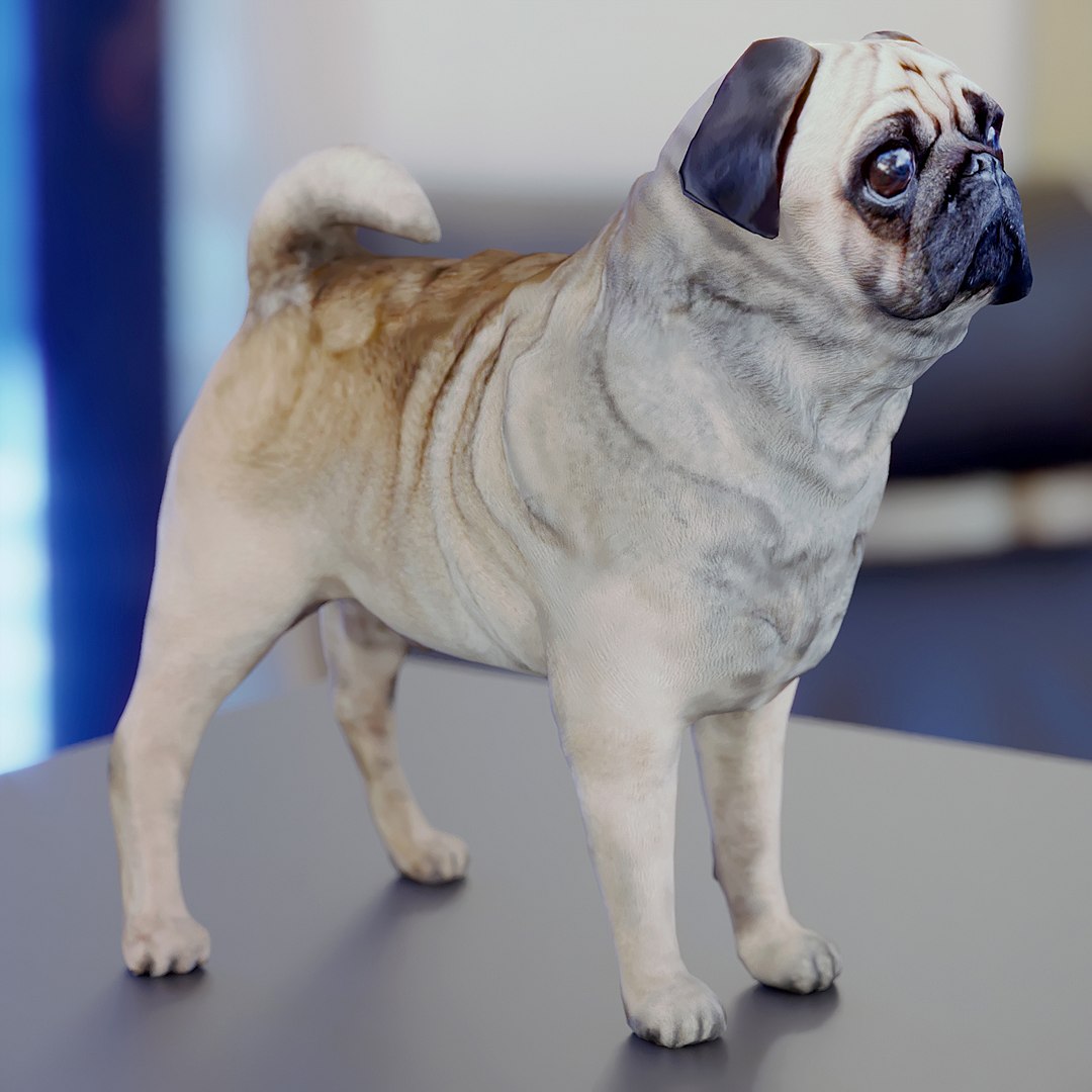 3d model of polys https://p.turbosquid.com/ts-thumb/SX/r7Bqas/03BpG7EJ/00/jpg/1485852264/1920x1080/fit_q87/f46aa336a1fd5de6c932d75b82afcabc7b508d0b/00.jpg