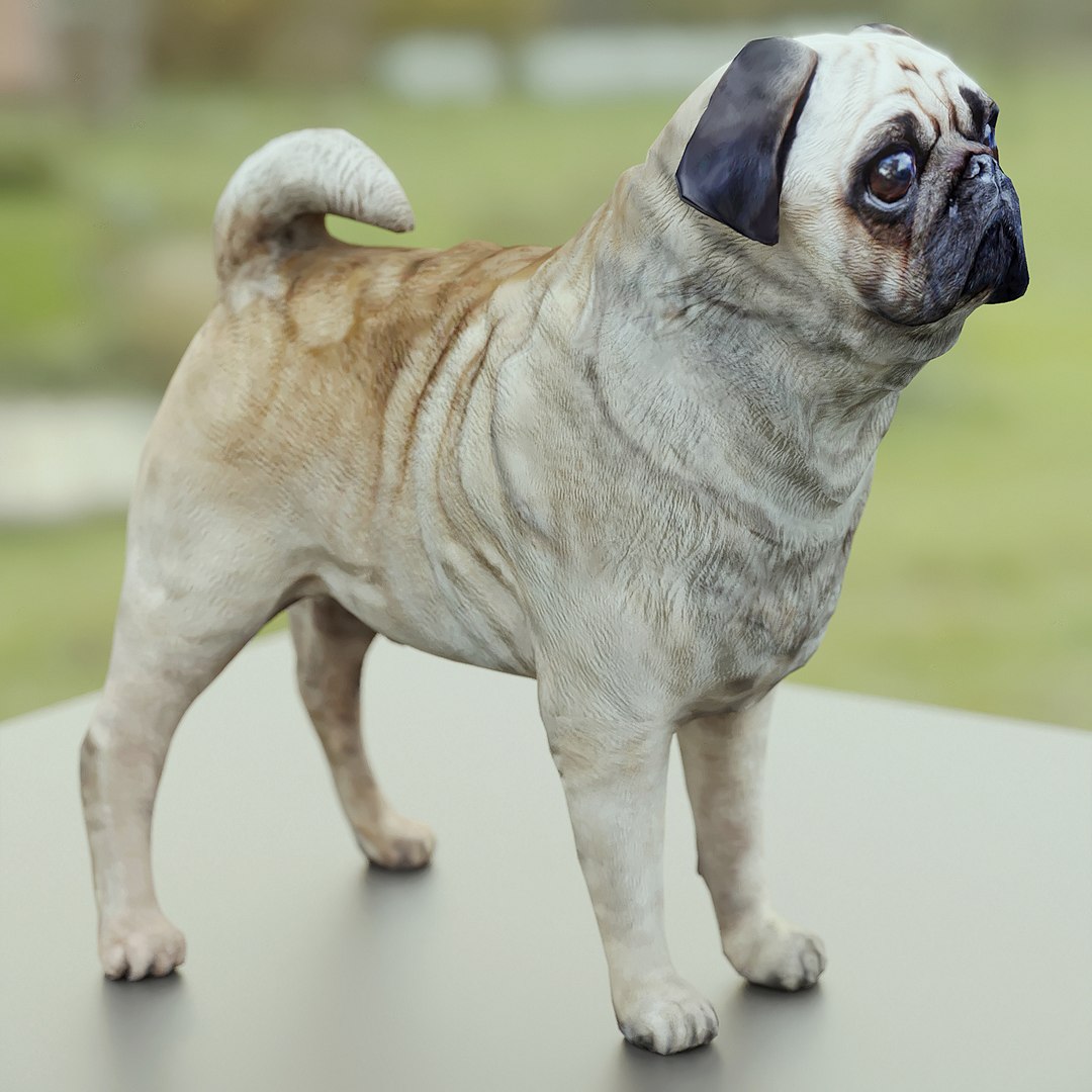 3d model of polys https://p.turbosquid.com/ts-thumb/SX/r7Bqas/9aeSoQb7/077/jpg/1485852302/1920x1080/fit_q87/7ad8eb2a21c5a9203c732cd5d7f202732743f8bf/077.jpg