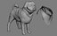 귀여운 pug (vray + corona)