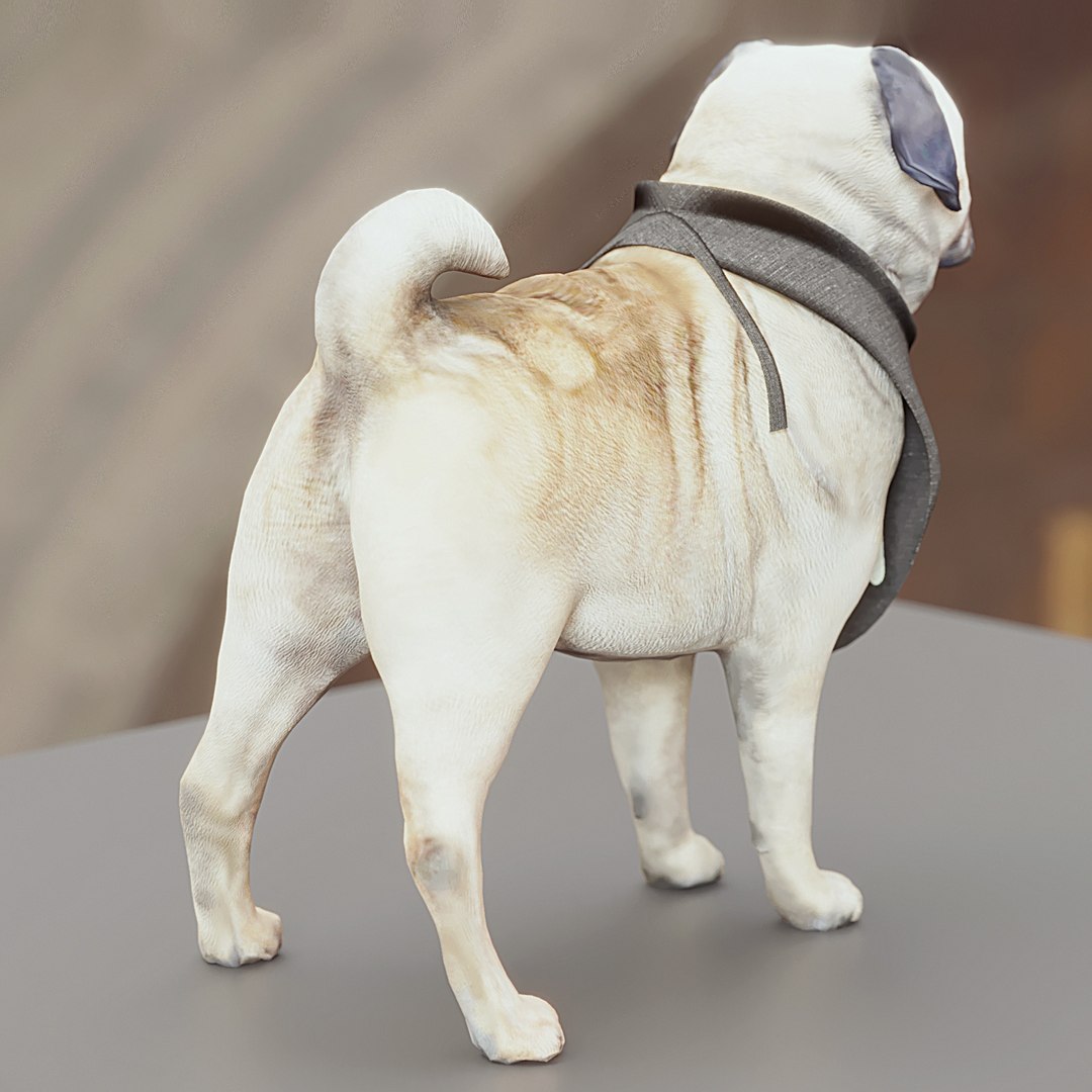 3d model of polys https://p.turbosquid.com/ts-thumb/SX/r7Bqas/DdsZSMbX/06/jpg/1485852280/1920x1080/fit_q87/c3b5c0eb9f17f602adcc912e6b1e85b784779984/06.jpg