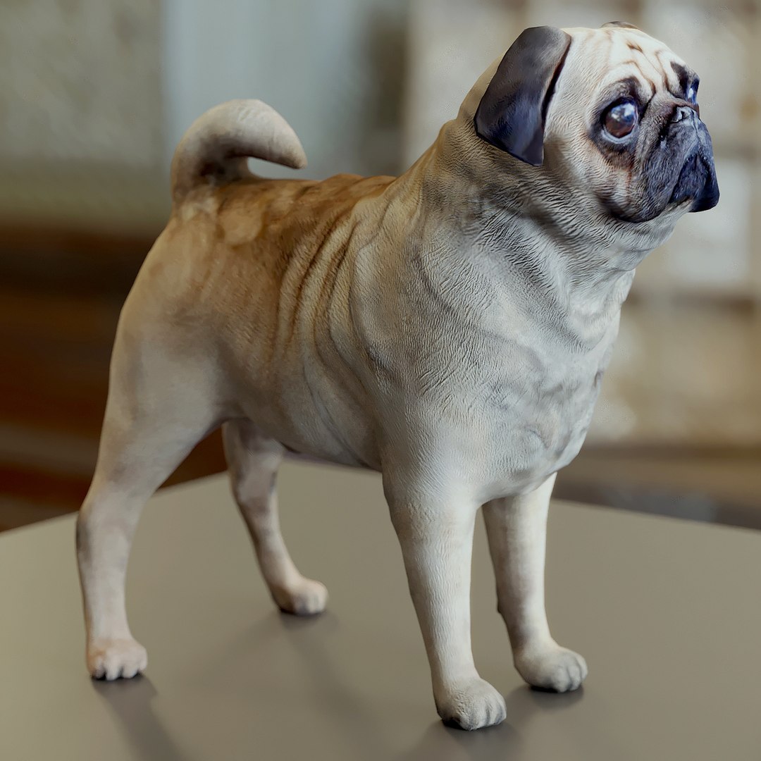 3d model of polys https://p.turbosquid.com/ts-thumb/SX/r7Bqas/HWPUpkaV/9999/jpg/1485852312/1920x1080/fit_q87/f91a669f4360200a975f9fa2af6de887c16ff1d4/9999.jpg