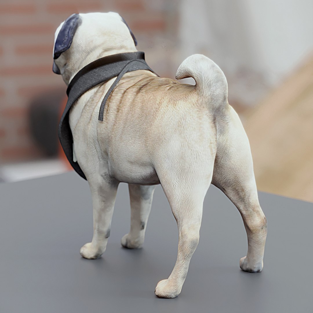 3d model of polys https://p.turbosquid.com/ts-thumb/SX/r7Bqas/UgDjCXOe/05/jpg/1485852276/1920x1080/fit_q87/f0b89da05c900ecb9ffe161e58e471734f24532f/05.jpg