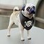귀여운 pug (vray + corona)