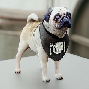 Cute pug (vray+corona)