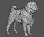 귀여운 pug (vray + corona)