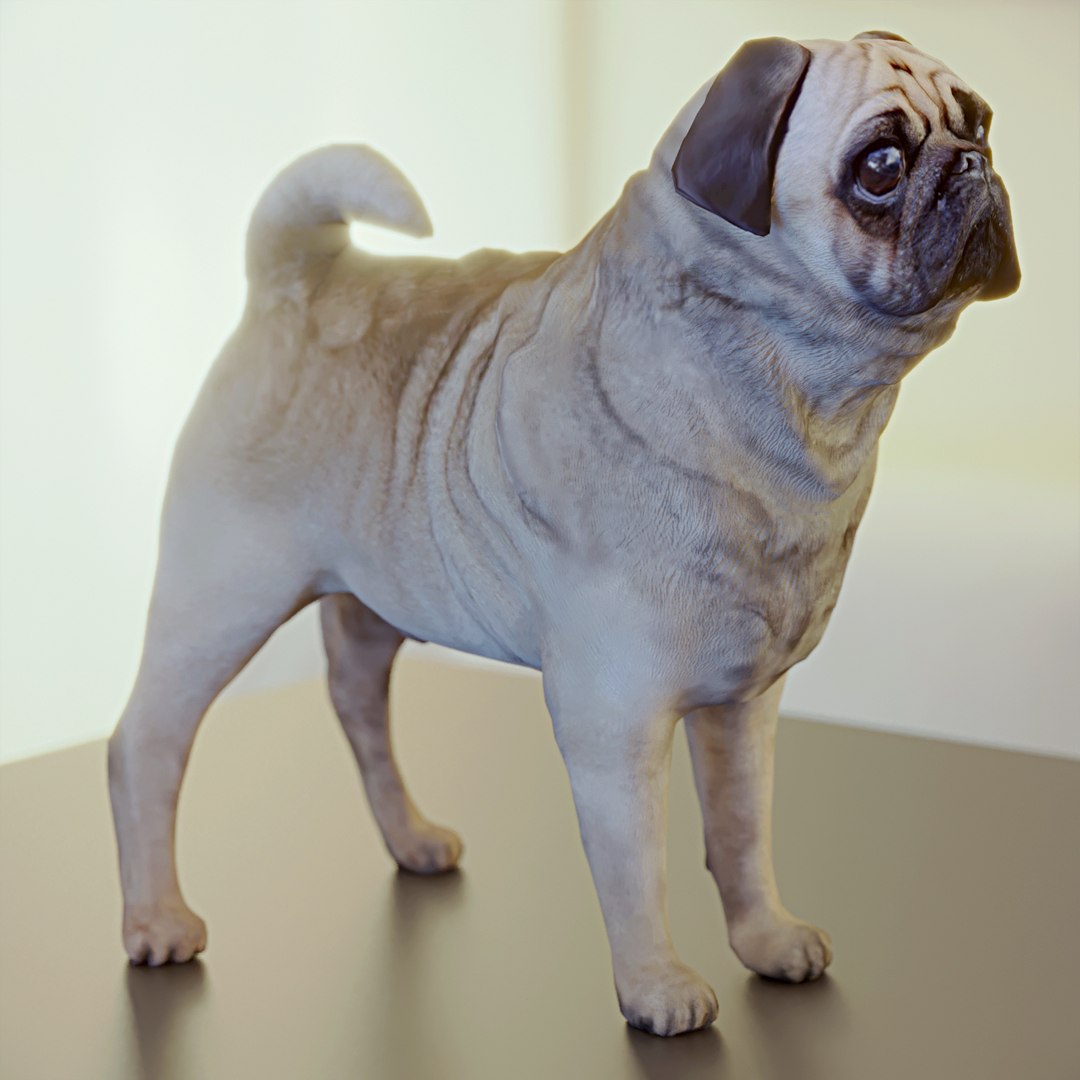3d model of polys https://p.turbosquid.com/ts-thumb/SX/r7Bqas/YZIyCNoh/02/jpg/1485852267/1920x1080/fit_q87/ae3ff72d6a8ebf5251ae2adc7cf26b4159663bfb/02.jpg