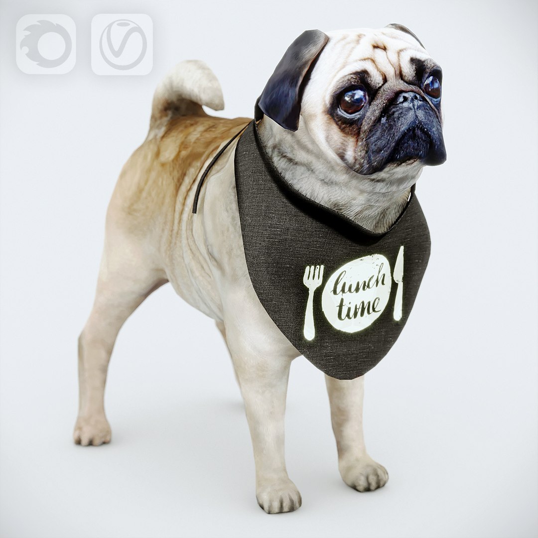 3d model of polys https://p.turbosquid.com/ts-thumb/SX/r7Bqas/d2zjkysB/10101013/jpg/1485852362/1920x1080/fit_q87/bdb289d686e69fd6d6bf3c6238af2f51571cc6d9/10101013.jpg