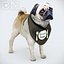 귀여운 pug (vray + corona)