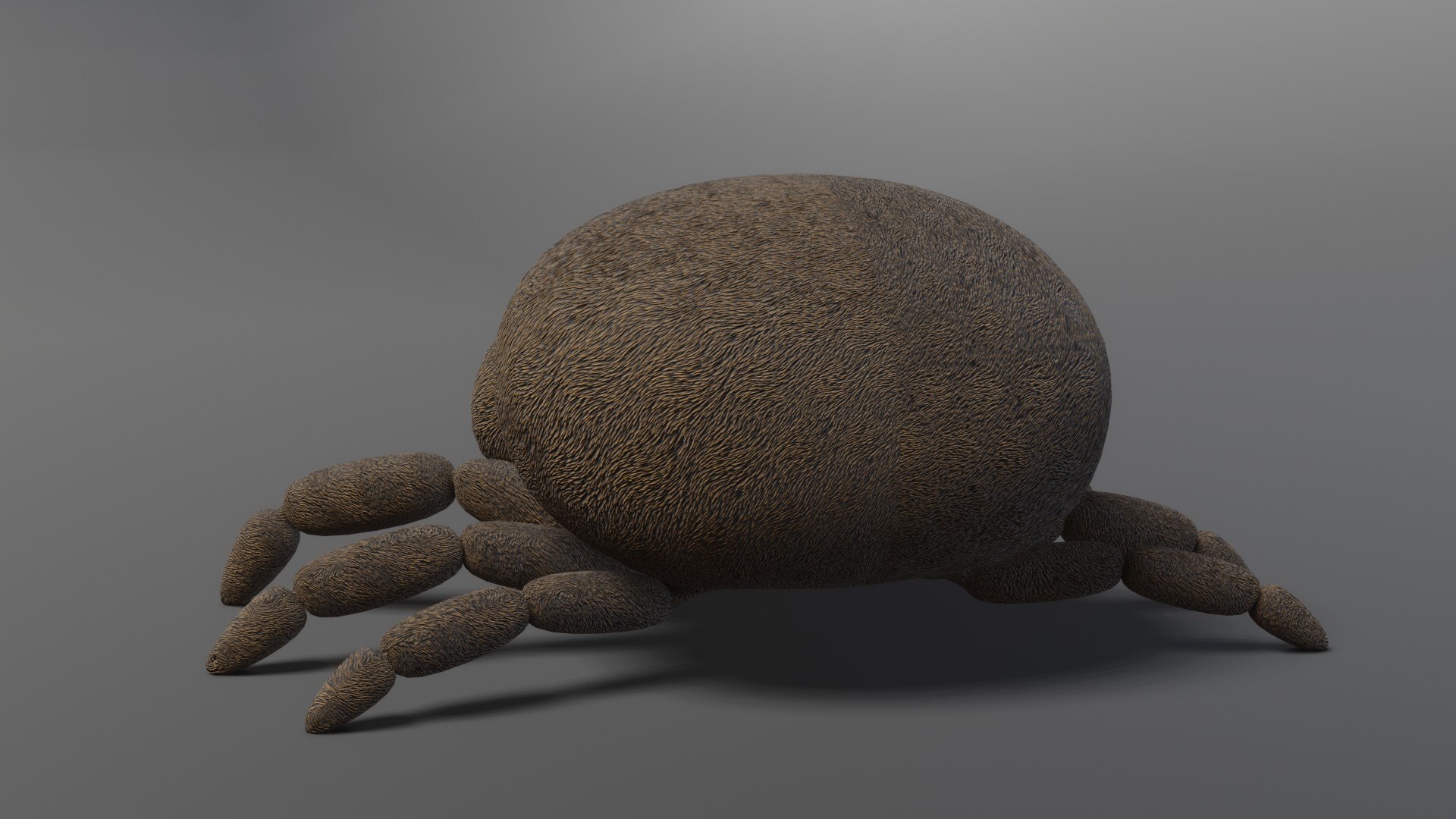 Spider 3D model https://p.turbosquid.com/ts-thumb/SX/xm8JrB/Pt/img6/jpg/1663429527/1920x1080/fit_q87/5f79927877682d7c63877ee2165696431b47360c/img6.jpg