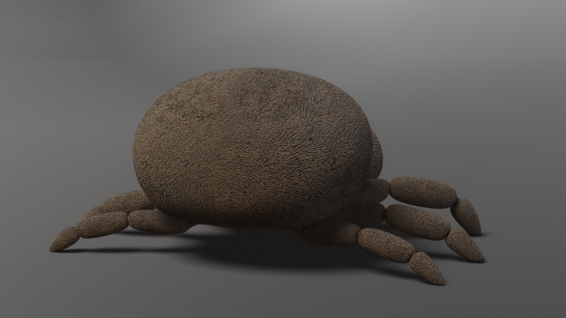 Spider 3D model https://p.turbosquid.com/ts-thumb/SX/xm8JrB/dT/img8/jpg/1663429528/1920x1080/fit_q87/8c3963863abf4d67f87d5573db6b9f7a4da3b398/img8.jpg