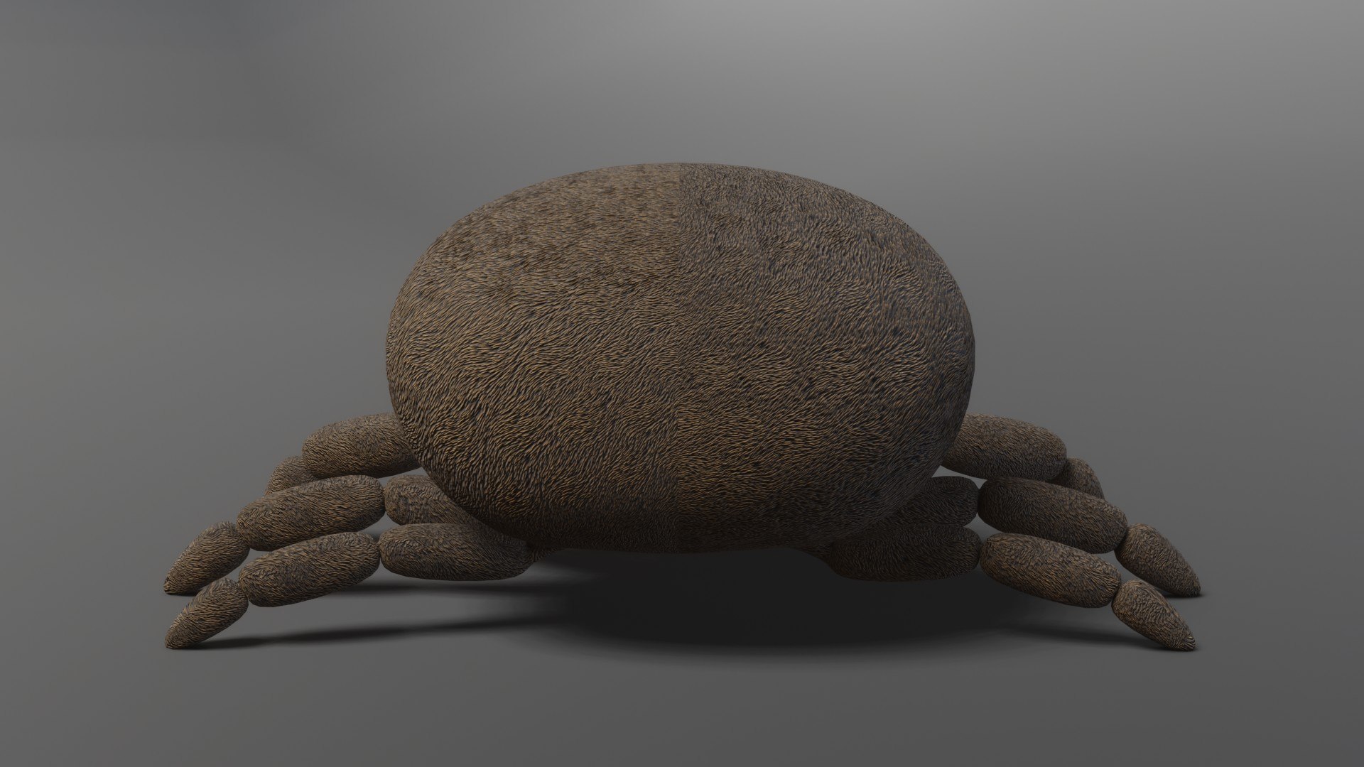 Spider 3D model https://p.turbosquid.com/ts-thumb/SX/xm8JrB/sP/img7/jpg/1663429527/1920x1080/fit_q87/492ab47d2568f7b515e3d231643bed67b9a503a2/img7.jpg