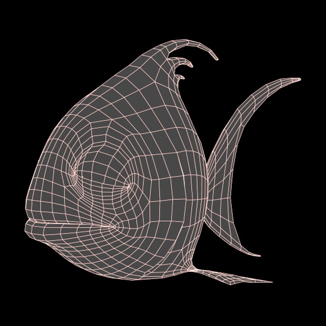 3d Model Cartoon Fish