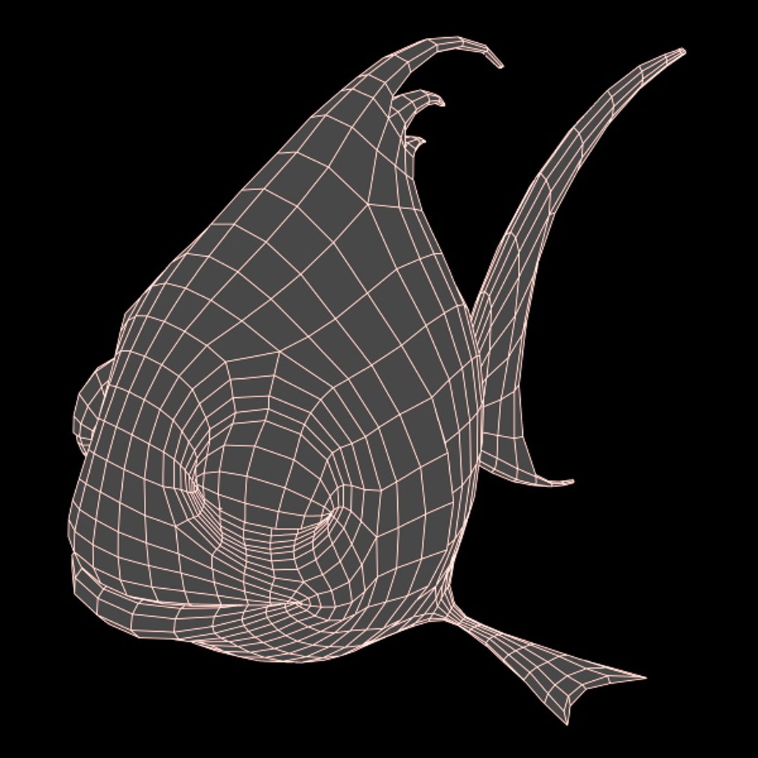3d Model Cartoon Fish