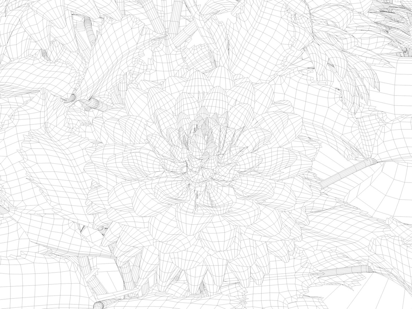 Flower Model - TurboSquid 1480567