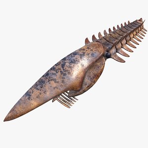 aegirocassis 3D model