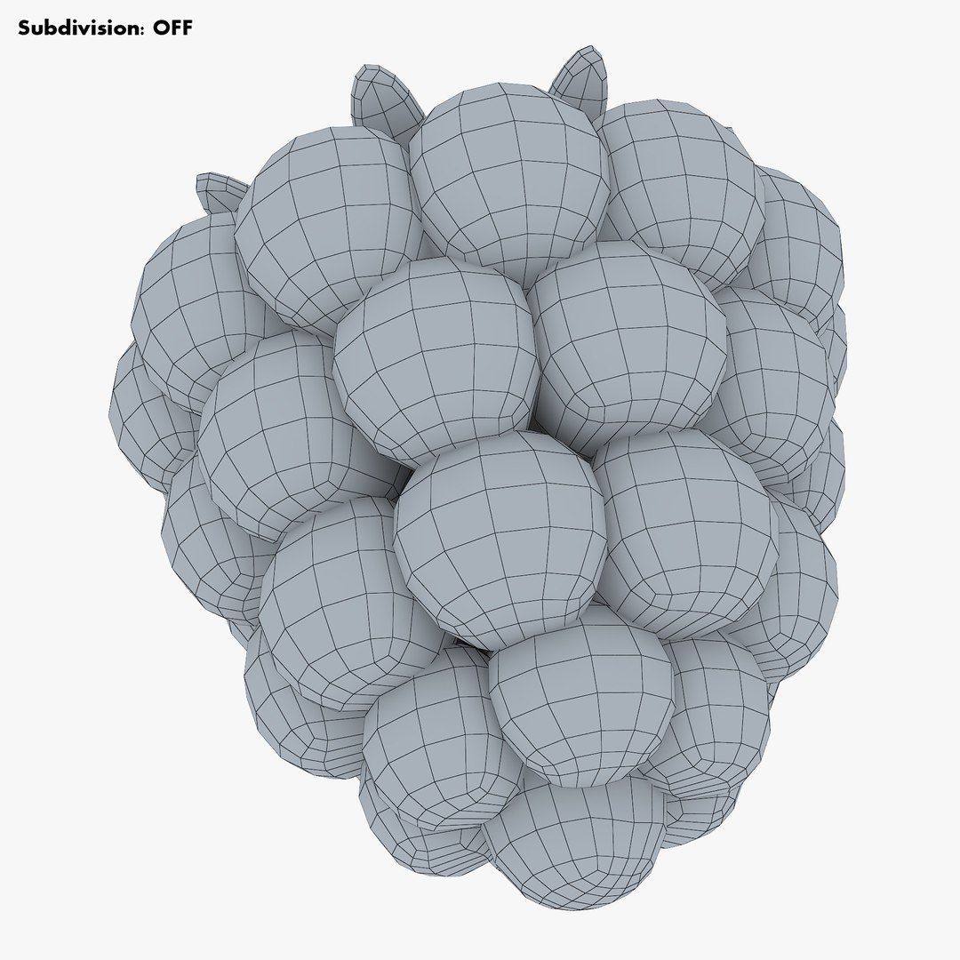 Cartoon raspberry v 1 3D - TurboSquid 1617110