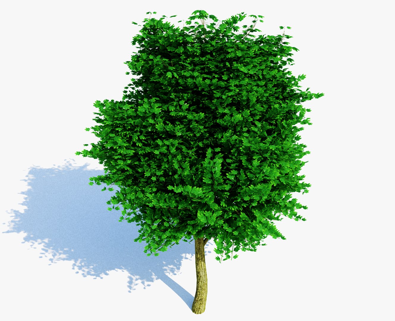 3d tree materials leaves model https://p.turbosquid.com/ts-thumb/SY/SrTSya/Cm6A59C7/2/png/1369665354/1920x1080/fit_q87/4714eb6dad59c9dd038644e12711a000da7e0178/2.jpg