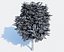 Realistic Tree