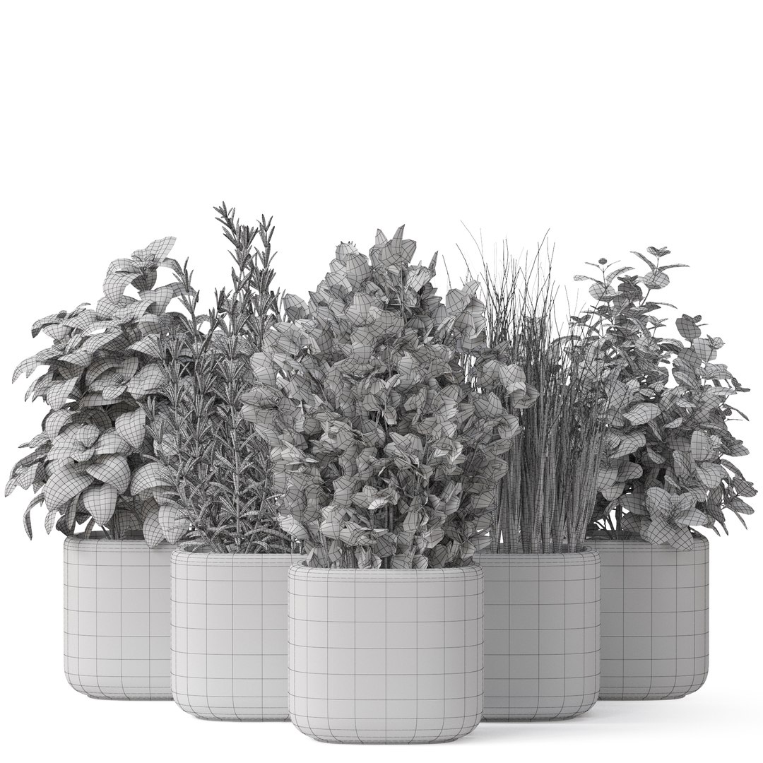 3D plants 261 https://p.turbosquid.com/ts-thumb/SY/TXQXUk/OP/plant_261_04/jpg/1667710952/1920x1080/fit_q87/5399ce890a80b8d8b6783d6055ee987c6e84e1f0/plant_261_04.jpg