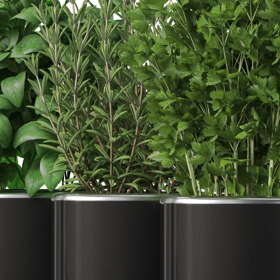 3D plants 261 https://p.turbosquid.com/ts-thumb/SY/TXQXUk/sk/plant_261_02/jpg/1667710951/1920x1080/fit_q87/7599e8eef6e1d434d99a95949d6a7d399f9263c2/plant_261_02.jpg