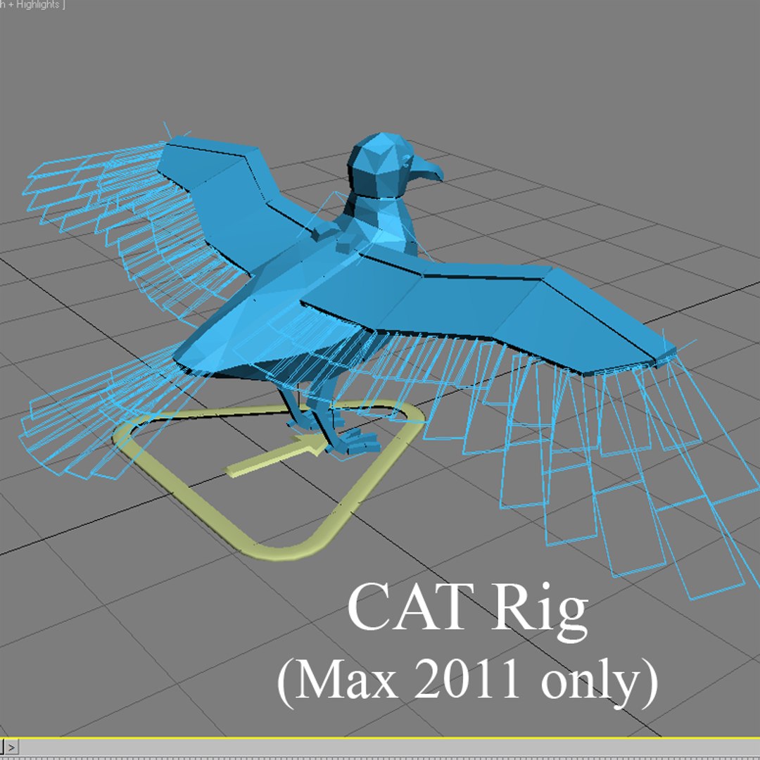 seagull rigged 3d max
