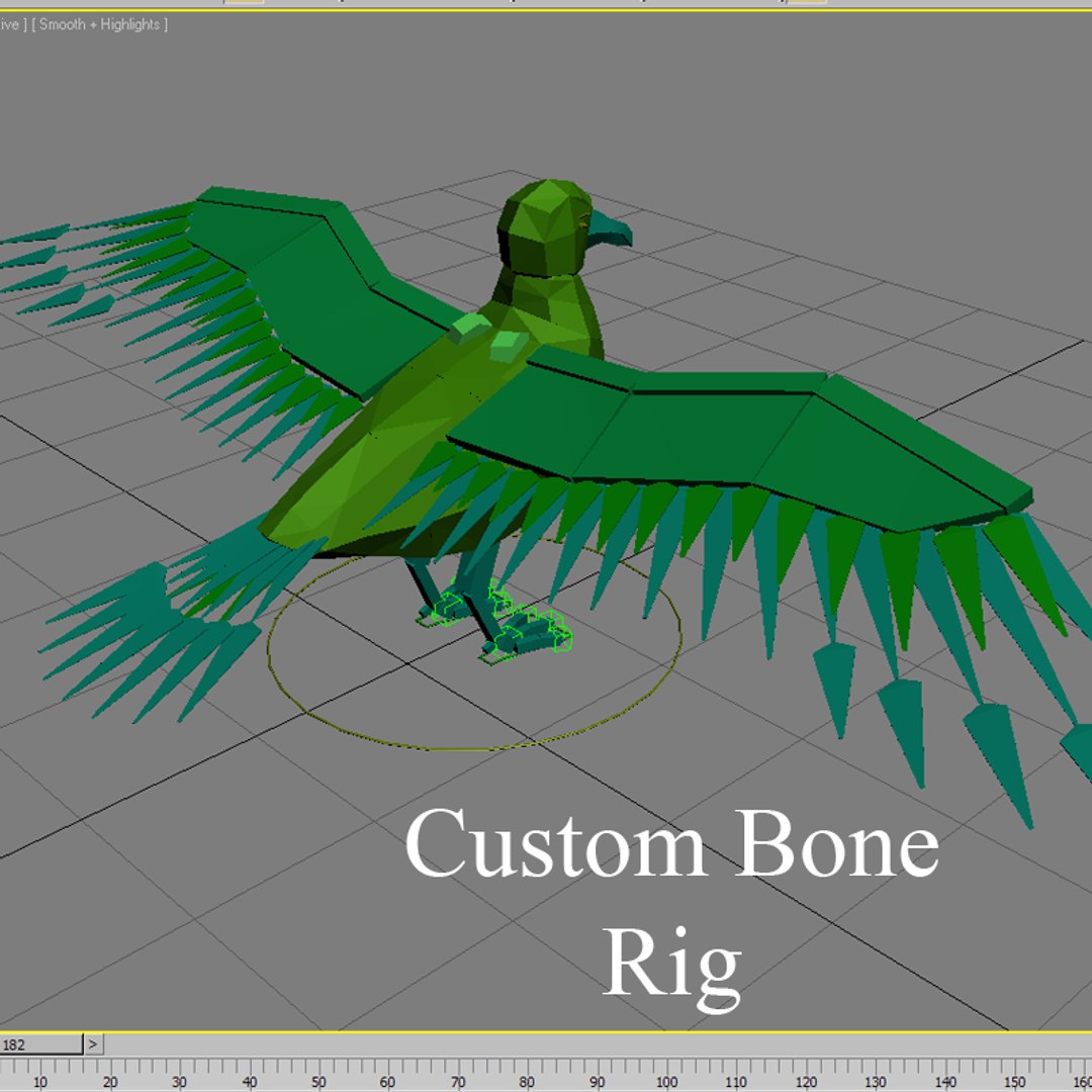 seagull rigged 3d max