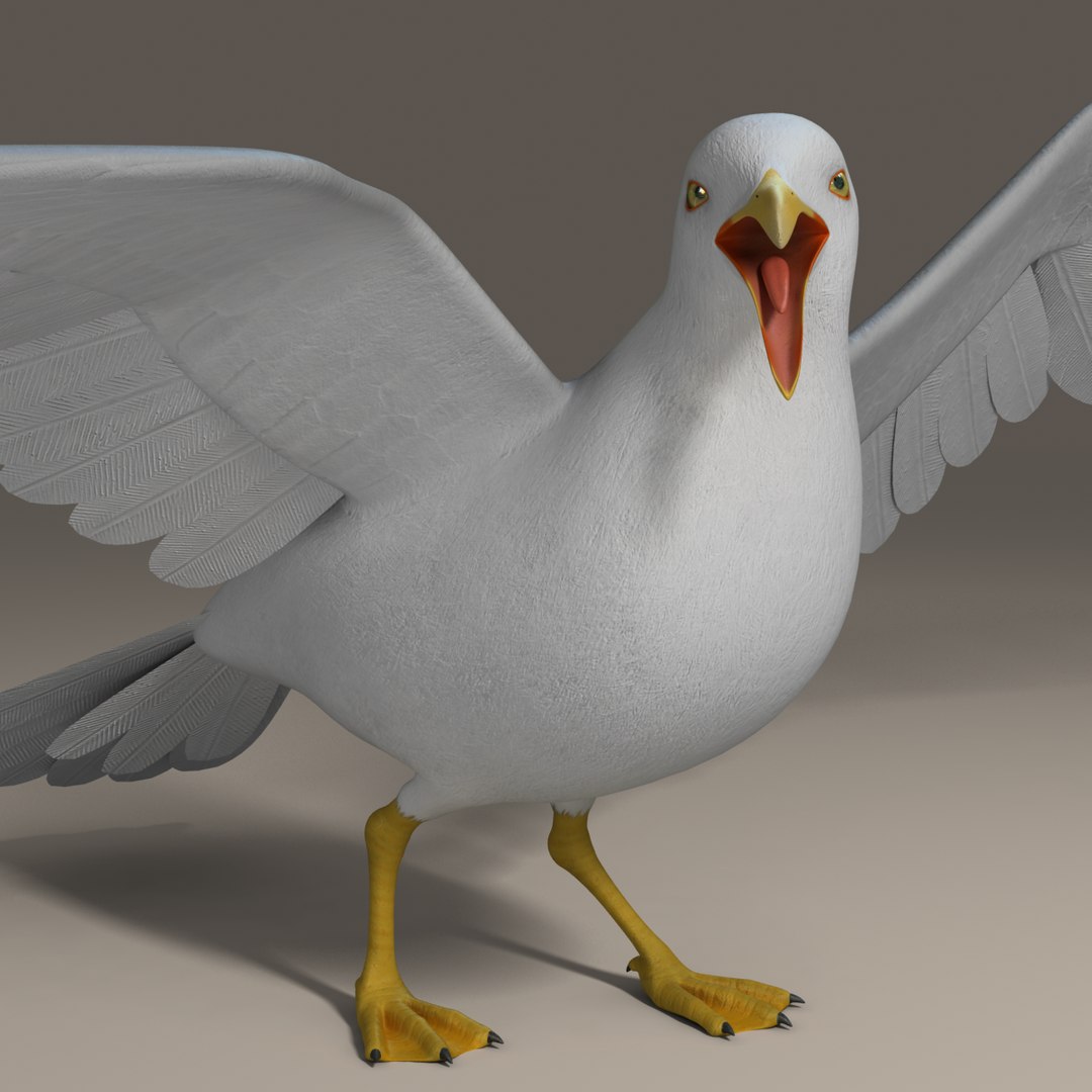 seagull rigged 3d max