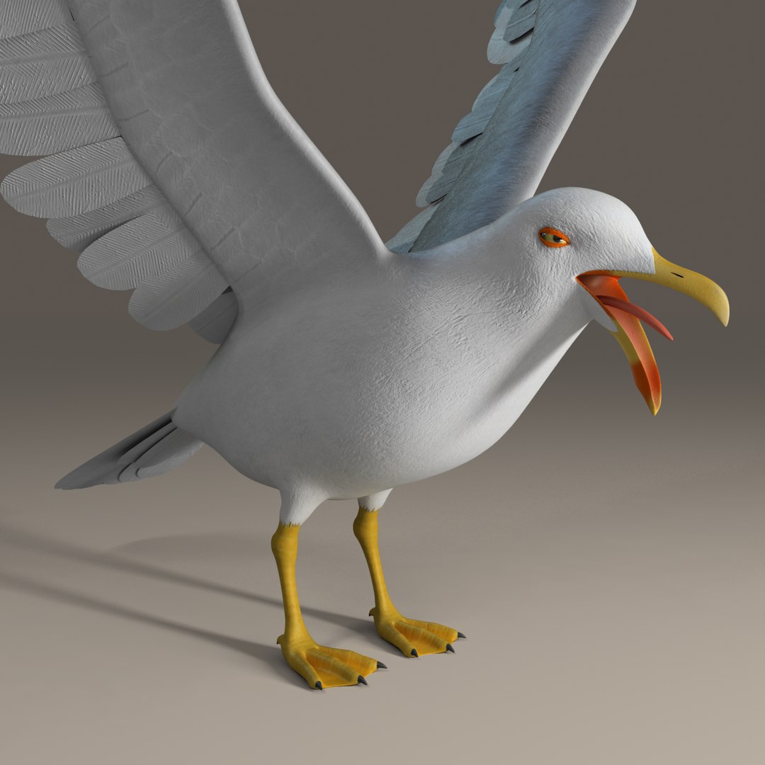 seagull rigged 3d max