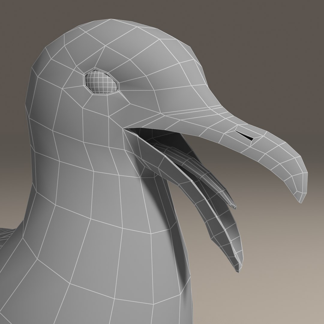 seagull rigged 3d max
