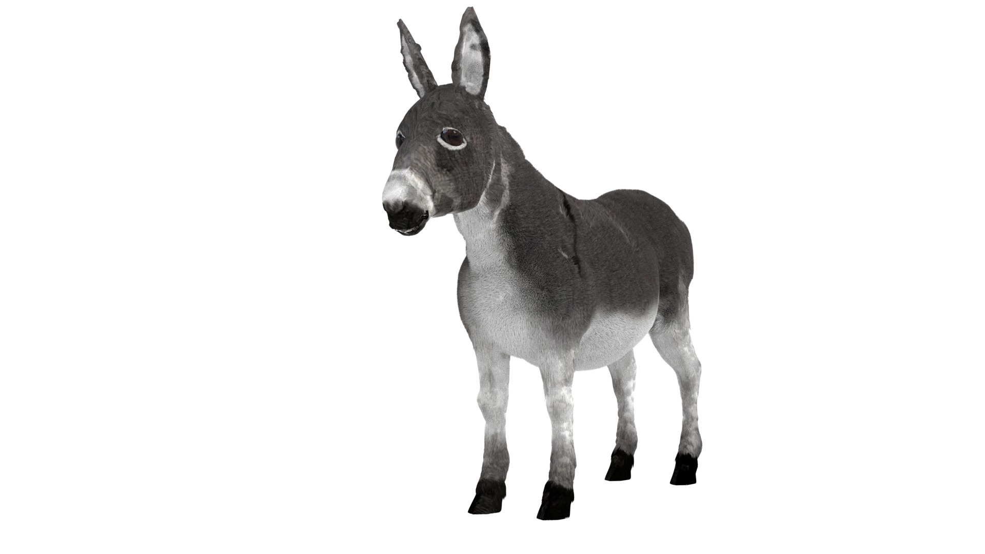 3D model donkey - TurboSquid 1685088