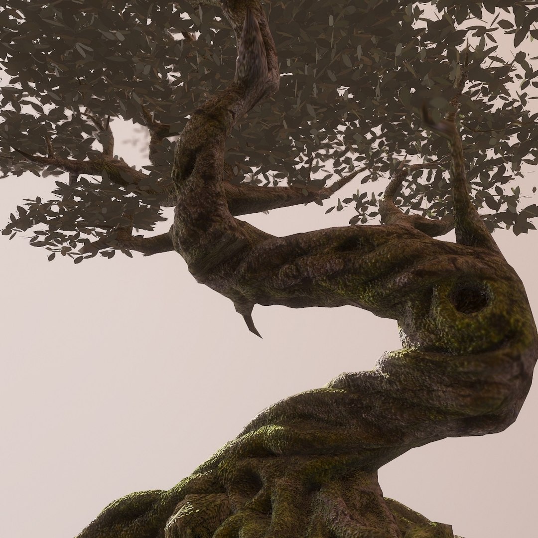 fantasy tree 3d max https://p.turbosquid.com/ts-thumb/SY/h6XUza/8RAk2X1R/screenshot001/jpg/1446240545/1920x1080/fit_q87/07cd5cc4f24c58d3863aff26973a062cd71dc682/screenshot001.jpg