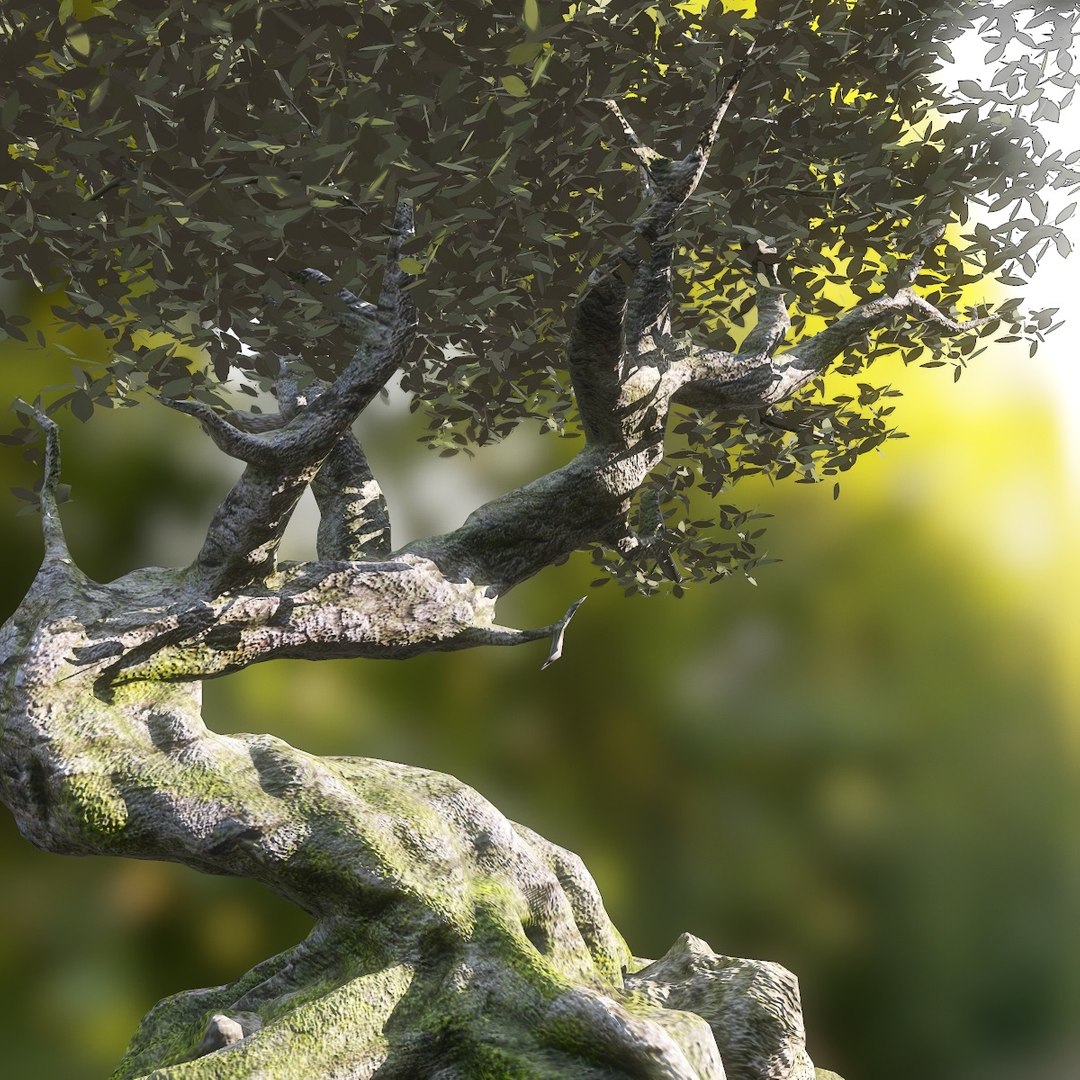 fantasy tree 3d max https://p.turbosquid.com/ts-thumb/SY/h6XUza/txxXK7vj/screenshot004/jpg/1446240545/1920x1080/fit_q87/eb3c09c8b4e5ff06a98305733e9cbf62e6c42312/screenshot004.jpg
