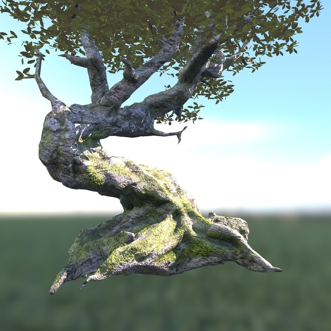 fantasy tree 3d max https://p.turbosquid.com/ts-thumb/SY/h6XUza/z2df48ZG/screenshot011/jpg/1446240546/1920x1080/fit_q87/376fb40497c6724ee49c3a4f7e8571bfe0160501/screenshot011.jpg
