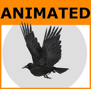3dsmax rigged raven animations