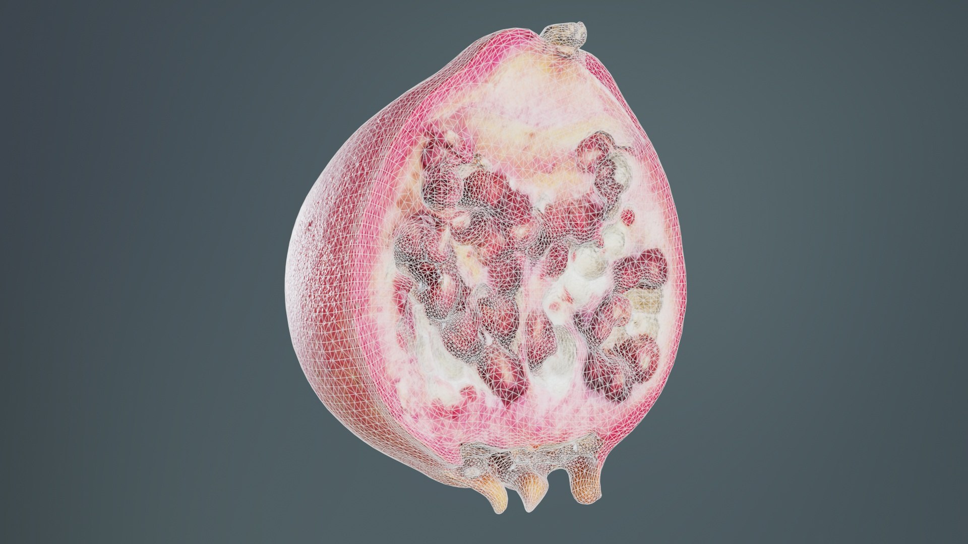 3D Pomegranate Half 1 Remastered model https://p.turbosquid.com/ts-thumb/SY/mRqQEv/DV/pomegranate_half_1_09/jpg/1740356390/1920x1080/fit_q87/2cb79dcfed70eceb1cbf46c3b8287f3cd73a71b4/pomegranate_half_1_09.jpg