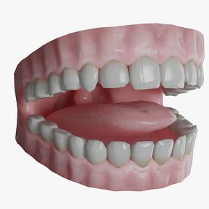 Human Teeth - Low Poly