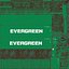 40 ft High Cube Evergreen shipping container