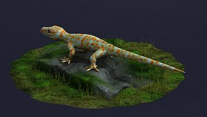 3D gecko animal lizard reptile stylized cartoon creature cute model