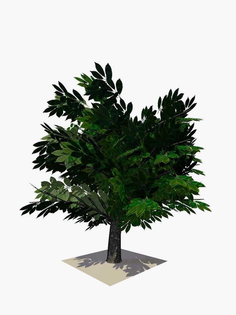 3d bush animations tree model https://p.turbosquid.com/ts-thumb/SZ/GRng6V/DVz1HCNV/2animatedbush1/jpg/1438615937/1920x1080/fit_q87/602dc023b30d5a38d1dc7773521a1996f98d933b/2animatedbush1.jpg