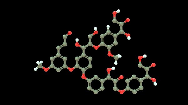 Estrutura Da Lignina Processo De Obtenção De Celulose – Daruma