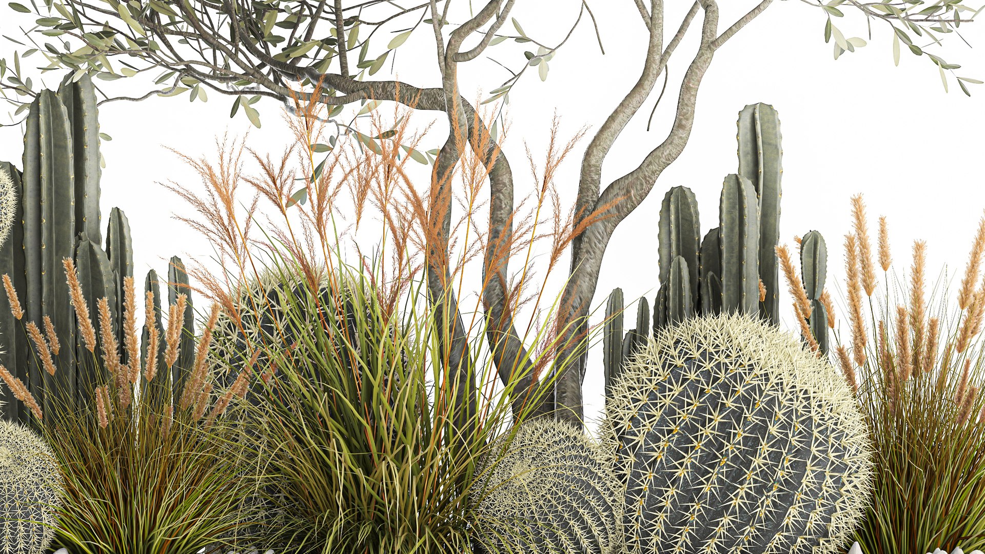 Cactus set in a flowerpot landscaping Olive tree 1105 3D https://p.turbosquid.com/ts-thumb/SZ/RNfgA9/9p/1cactusset2001202205/jpg/1643033921/1920x1080/fit_q87/0fc24783e99febcb5091ed0adad9065cdbb87ffd/1cactusset2001202205.jpg