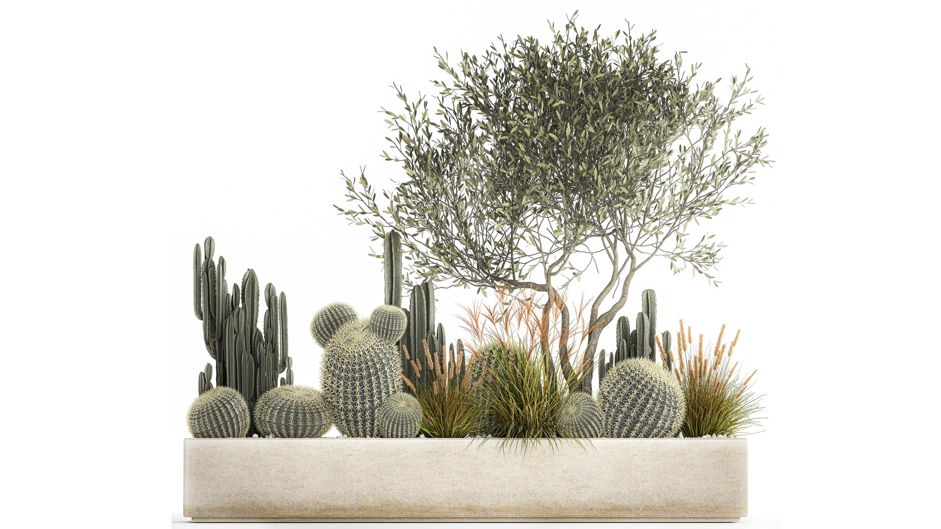 Cactus set in a flowerpot landscaping Olive tree 1105 3D https://p.turbosquid.com/ts-thumb/SZ/RNfgA9/Cm/1cactusset2001202203/jpg/1643033906/1920x1080/fit_q87/30ace557310b37402f50751783df35d8010458c5/1cactusset2001202203.jpg