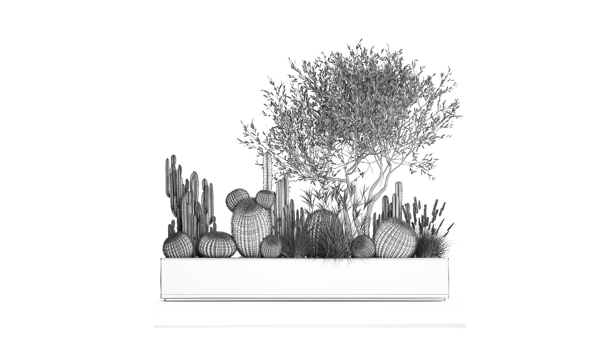 Cactus set in a flowerpot landscaping Olive tree 1105 3D https://p.turbosquid.com/ts-thumb/SZ/RNfgA9/Ge/1cactusset2001202209/jpg/1643033902/1920x1080/fit_q87/7ed00eaef90e5fcf4a87748d9e4c2c129adfb724/1cactusset2001202209.jpg