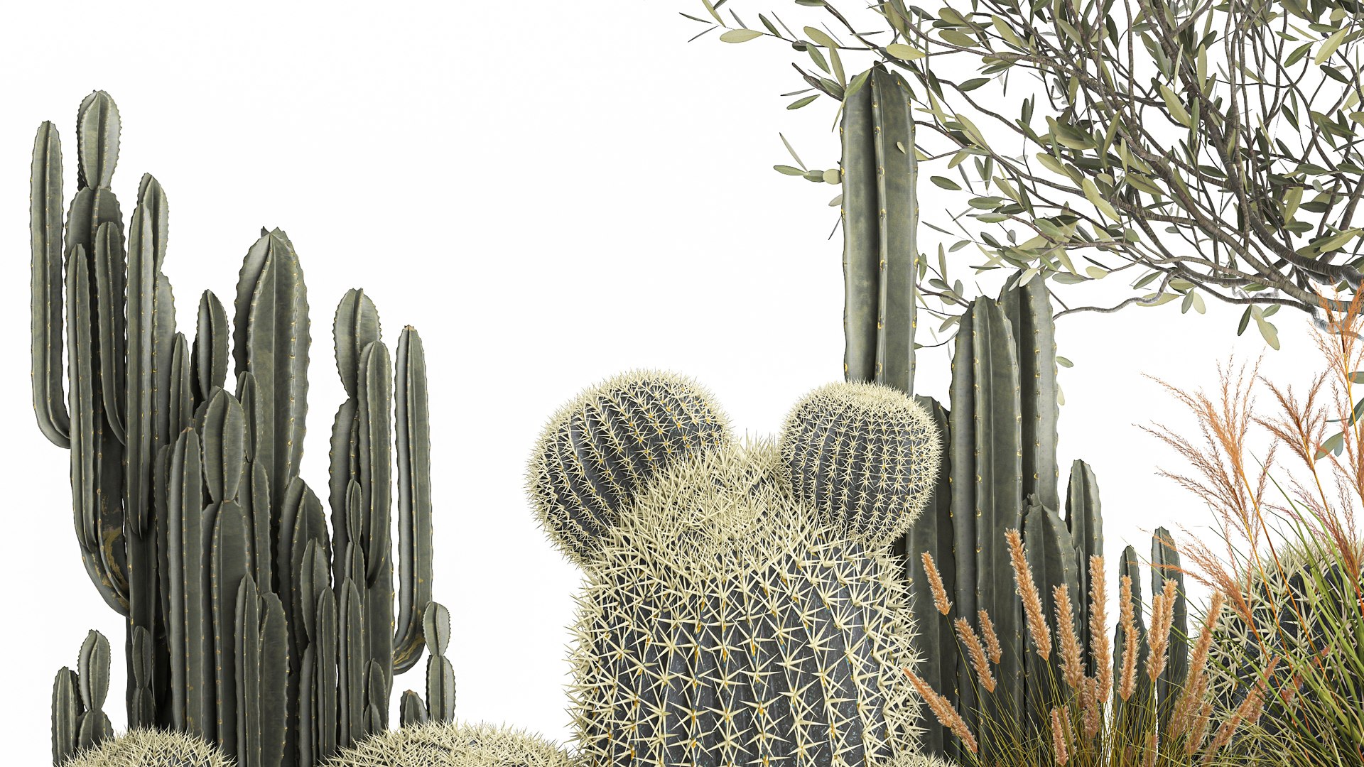 Cactus set in a flowerpot landscaping Olive tree 1105 3D https://p.turbosquid.com/ts-thumb/SZ/RNfgA9/Mc/1cactusset2001202206/jpg/1643033903/1920x1080/fit_q87/d094d0779cccc3b34d236428a79a13e193b71b23/1cactusset2001202206.jpg